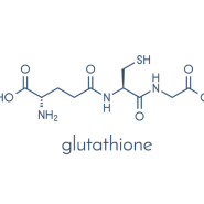 글루타치온 효능 부작용 섭취방법은 무엇일까?
