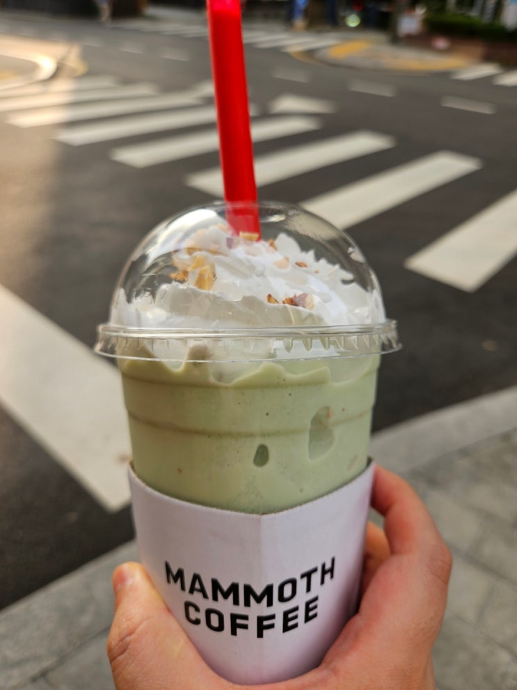 매머드커피 사진