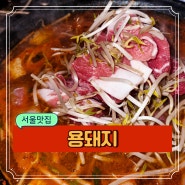 서울 신용산 삼각지 한식 특별한 찌개 구이 점심 맛집 용돼지