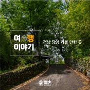[전남 담양] 한국 전통과 자연과 함께하는 여행 「달빛무월마을, 창평 전통시장, 한국 대나무 박물관」
