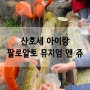 Palo Alto Junior Museum & Zoo, 산호세 근교 아이랑 갈만한 곳