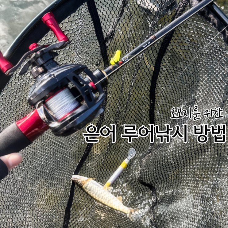 초보자를 위한 은어 루어낚시 방법 : 네이버 블로그