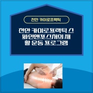 천안 카이로프랙틱 스파인앤포스처의 재활 운동 프로그램