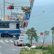 부산 스카이캡슐과 해변열차 가격 코스 비교 해운대 블루라인파크의 두가지 매력