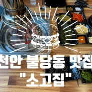 천안 불당동 맛집 “소고집” feat. 가성비 끝판왕 수입산 소고기