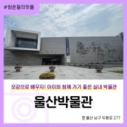 울산박물관 한여름 아이와 가기 좋은 실내 공간 (ft. 서덕출 전시 어린이 박물관)