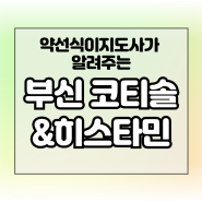 부신 기능과 코르티솔(코티솔) 호르몬이 히스타민 분비에 미치는 영향