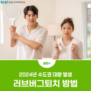 2024년 수도권 대량 발생, 러브버그퇴치 방법