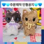 💙🩵인형주문제작 공지🩵💙