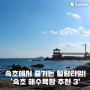 동해안 속초 해수욕장 추천3 (외옹치 등대 속초해변)