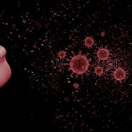 백일해 증상 100일동안 기침하는 전염병 성인 특징 예방접종 가격