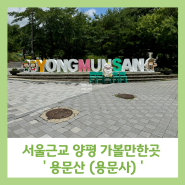 서울 근교 드라이브코스 양평 가볼만한곳 용문사 용문산 천년 역사 은행나무