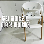 두리 하이체어 내돈내산 이유식의자 솔직 장단점