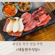 불당동 한우 맛집 추천 대동한우식당 / 천안 아기랑 식당