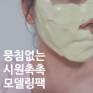 여름 피부관리의 신세계, 촉촉하고 시원한 피부로 메디플라워 모델링팩 파파인 내돈내산 후기