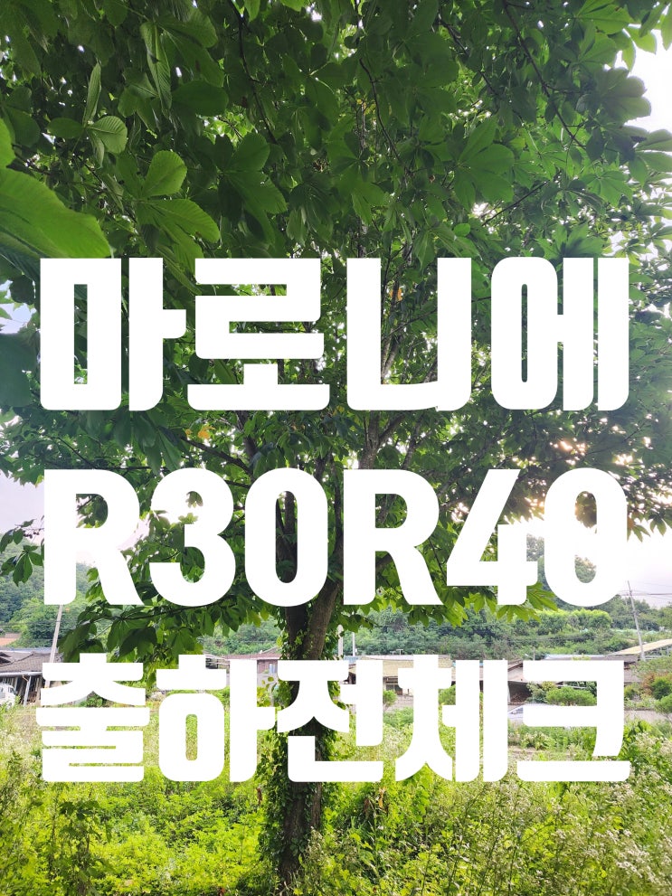 의성 마로니에 칠엽수 R30 R40 출하전 수량체크 : 네이버 블로그