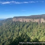 호주 여행기 - 31) 브리즈번 근교 여행 /스프링 브룩 국립공원(Springbrook National Park)