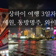 [상하이 자유여행] 3일차 - 예원, 와이탄, 동방명주 야경