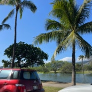 하와이 와이키키 무료주차 3곳 미국에서 주차할 때 주의사항