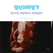 임신28주 셀프만삭촬영, 백일해주사, 입체초음파, 태아성장보고서