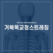 거북목 교정 스트레칭 방법 건강관리tip