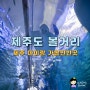 제주도 볼거리 제주 여름 여행 아이랑 가볼만한곳