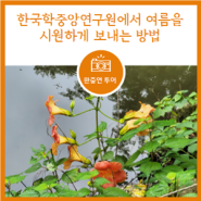 [여름] 한국학중앙연구원에서 여름을 시원하게 보내는 방법은?