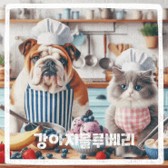 강아지 블루베리 수제간식 만들기 고양이 먹어도 되는 음식
