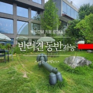 남양주 북한강뷰 카페 로이테, 반려견 동반가능 베이커리 카페