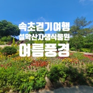 속초여행/설악산자생식물원 여름 풍경, 걷기 좋은 곳