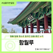 울산 해맞이 야경 명소 함월루(ft. 8월 17일까지 새단장중)