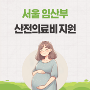서울 임산부 산전의료비 지원금 정리 (최대 50만 원)