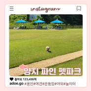 서울 근교 애견놀이터 용인 양지파인펫파크, 넓은 야외 애견운동장!