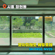 시흥 아파트열차단필름 3M PR50, NV25 시공으로 사생활 보호 효과까지