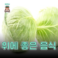 위에 좋은 음식 좋지 않은 음식 알아보기