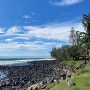 호주 여행기 - 28) 브리즈번 근교 골드코스트 여행 /버레이 헤드 국립공원, 비치(Burleigh Head National Park, Beach)