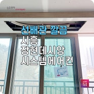 시흥 LG시스템에어컨 장현데시앙 선배관 및 설치 현장 후기