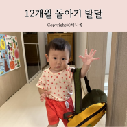 12개월 돌아기 발달사항 (언어, 걸음마, 모방, 유아식, 첫감기,어린이집 입소)