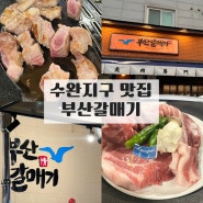 [수완지구 맛집] 광산구맛집 부산갈매기 광주수완점 / 부산갈매기 / 수완지구 고기집