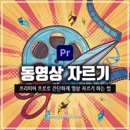 프리미어 프로 동영상 자르기 방법 자동 리프레임 텍스트 기반 편집