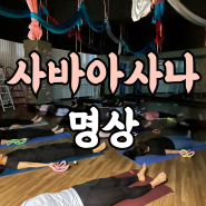 권선동 플라잉요가 곡반정동 요가 후에 사바아사나를 해야하는 이유 수원 힐피요