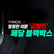 YTN뉴스 경제pick에서 패달블랙박스에 대한 취재기자와의 뉴스를 보니 조금은 답답하네요!