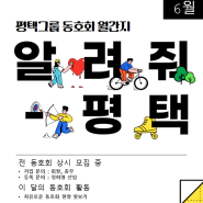 평택그룹 동호회 추천, 활동 종류는?