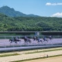 렛츠런파크 서울 구)과천경마공원 급 나들이