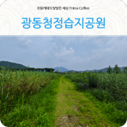 경기도 퇴촌가볼만한곳 광동청정습지공원 산책