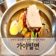 양산 물금 밀면 맛집 가성비 좋은 밀면맛집 추천 '가야밀면'