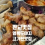 판교 맛집 고기 맛이 일품인 얼룩도야지