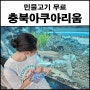 괴산 아쿠아리움 무료로 만나는 수중터널 민물고기 전시관 충북 아쿠아리움
