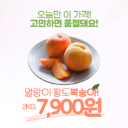 말랑 황도복숭아 2kg에 7,900원 특가!