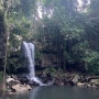 호주 여행기 - 32) 브리즈번 근교 여행 /탬보린 마운틴 국립공원(Tamborine National Park), curtis falls track, 별 보기